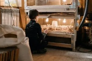 Voluntariado con animales