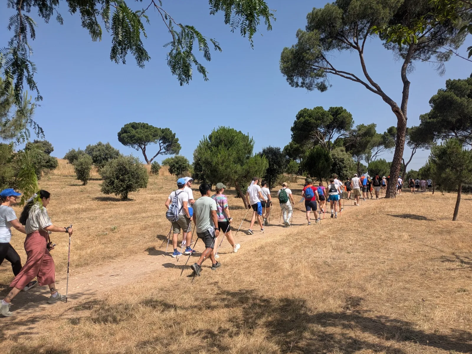 Actividad de team building: Marcha Nórdica